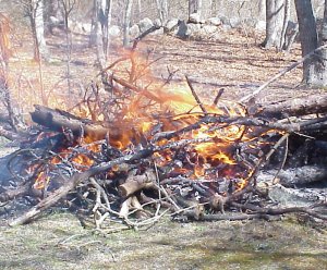 controlled brush fire