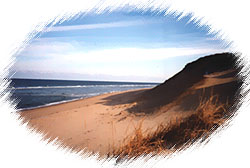 Cape Cod Real Estate, waterfront homes on cape cod, cottages to cape estates, golf course properties, summer rental cottages, homes for sale, mls listings.  Upper Cape real estate - Falmouth, Sandwich, Barnstable, New Seabury, Popponesset, Yarmouth, Dennis, Cotuit, Osterville, North Falmouth, Catuamet, Pocasset, Monument Beach, Bourne, Wings Neck, Nyes Neck, Old Silver Beach, West Falmouth, newseabury, Sippewisset, Woods - Cape Cod MA!
